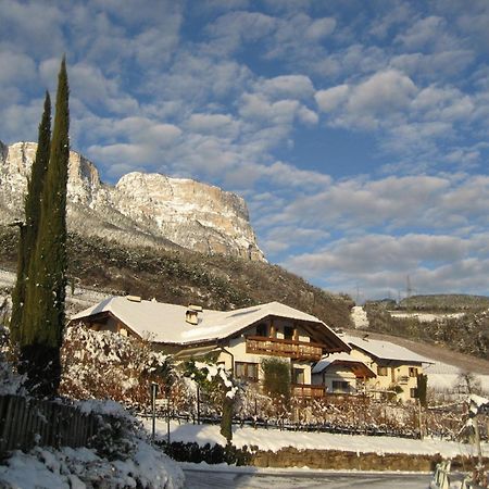 Gfillhof Ferienwohnung 3 Appiano Sulla Strada Del Vino Luaran gambar