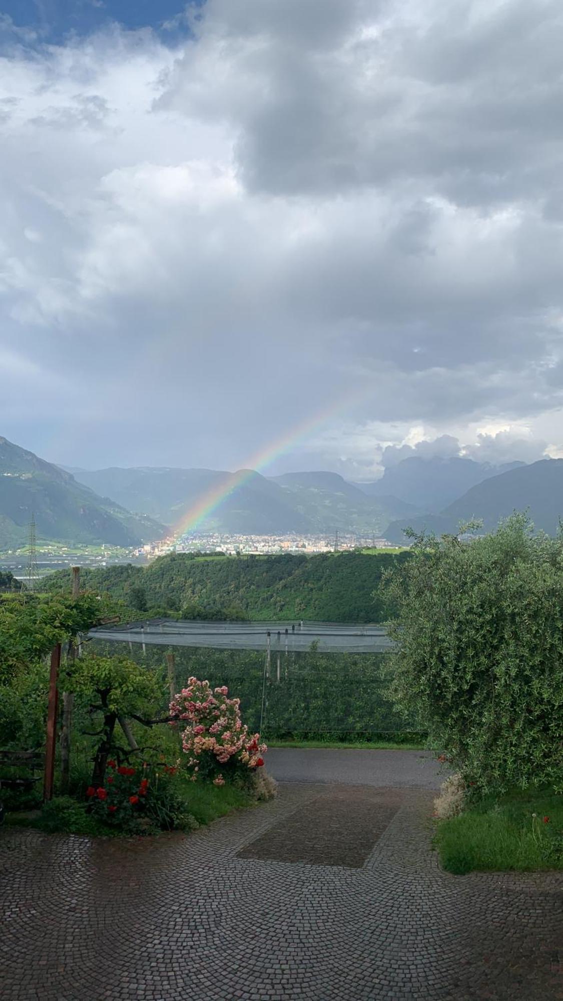 Gfillhof Ferienwohnung 3 Appiano Sulla Strada Del Vino Luaran gambar