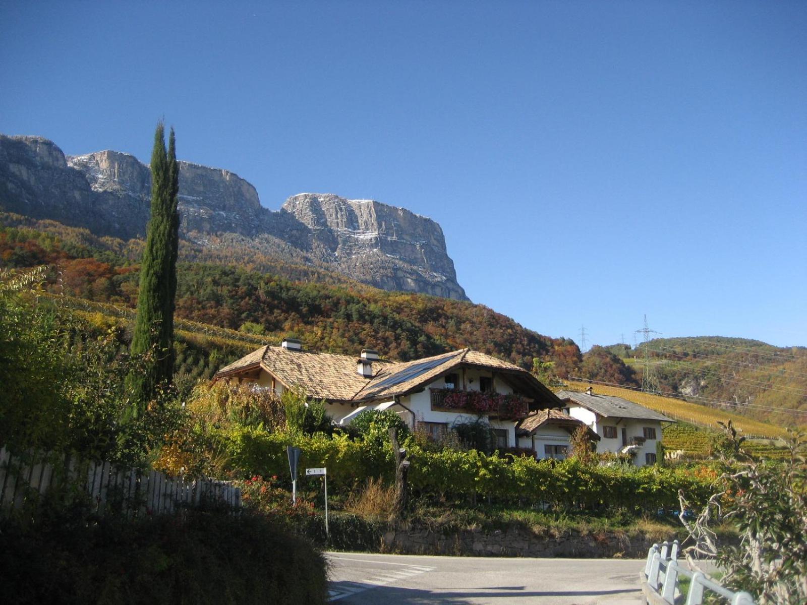 Gfillhof Ferienwohnung 3 Appiano Sulla Strada Del Vino Luaran gambar
