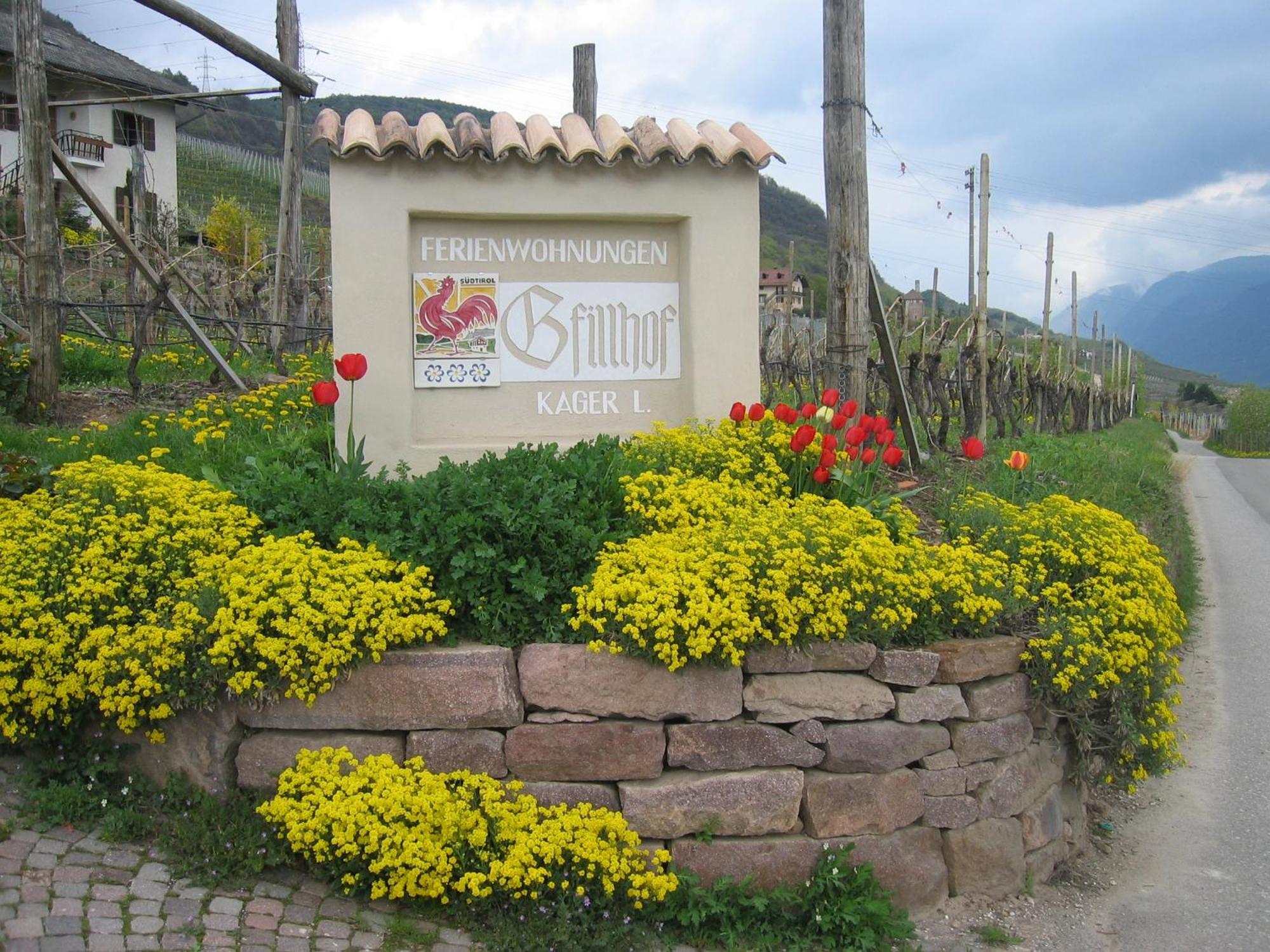 Gfillhof Ferienwohnung 3 Appiano Sulla Strada Del Vino Luaran gambar